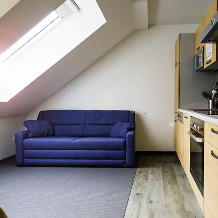 Cityhouse Schladming