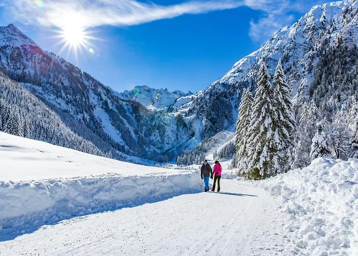 Cityhouse Apartman Schladming