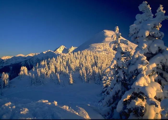 Cityhouse Appartement