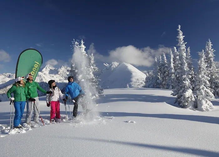 Cityhouse Appartement Schladming