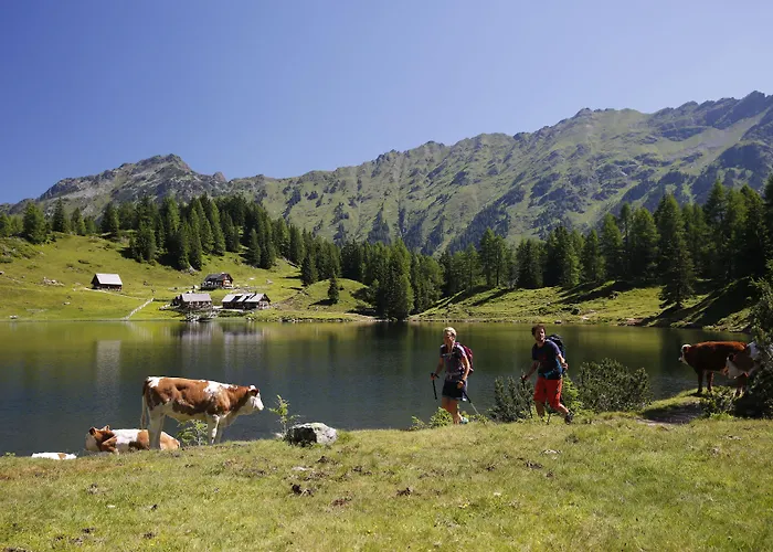 Appartement Cityhouse Schladming